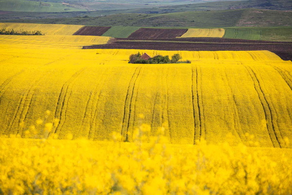 Reparcelaciones · Topógrafos Servicios Topográficos y Geomáticos Campo de Criptana