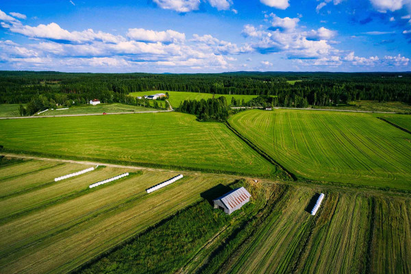 Segregar Fincas · Topógrafos Servicios Topográficos y Geomáticos Almodóvar del Campo